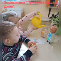 Здоровый образ жизни Здоровый образ жизни.